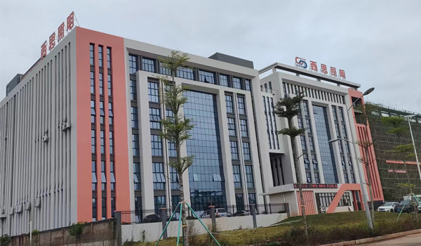 人生就是搏简介