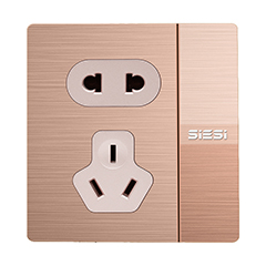 10A二三极插座带（单/双）控开关